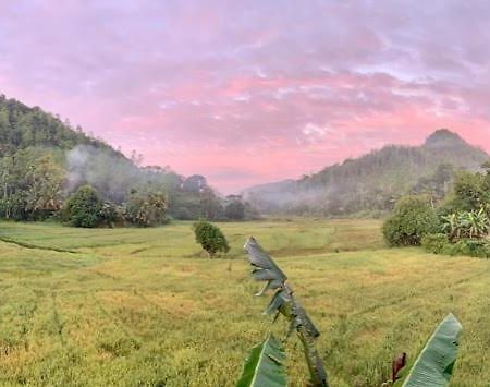 Sunil'S Homestay Sinharaja Kalawana Luaran gambar