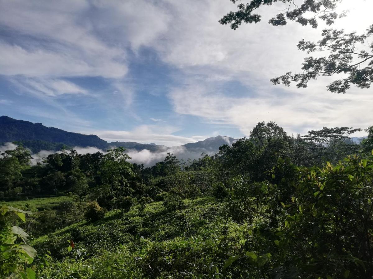 Sunil'S Homestay Sinharaja Kalawana Luaran gambar